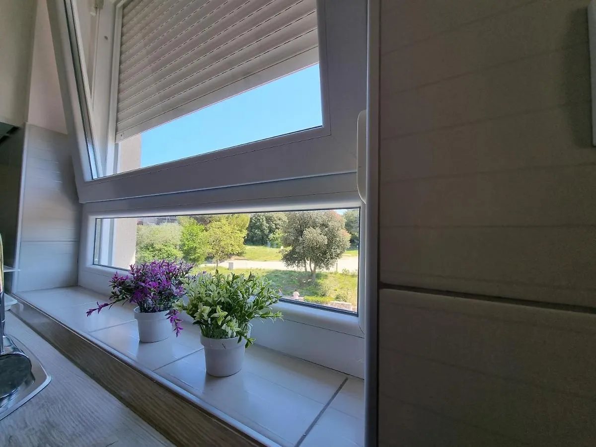 Apartment Matea Banjole 0*,  Croatia